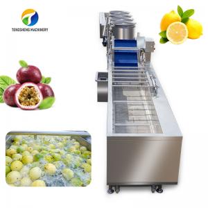 China 380V Fruit And Vegetable Processing Line Fully Automatic Cleaning Drying Grading on sale