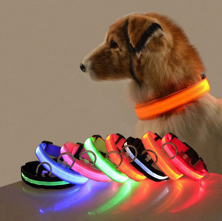 China Abs Usb Led Dog Collar Lead Collar For Dogs with Water Resistant Flashing Light on sale