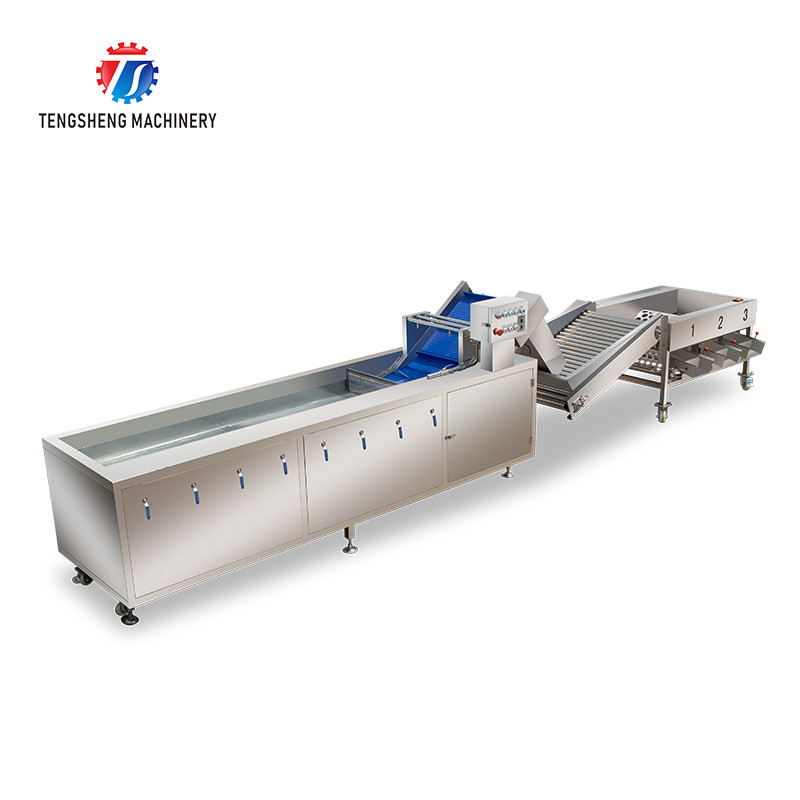 Best Multifunction Fruit And Vegetable Processing Line Automatic Washing And Sorting Machine wholesale
