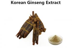 China 10% Ginsenosides Korean Red Ginseng Powder , Korean Red Ginseng Root Extract For Dietary on sale