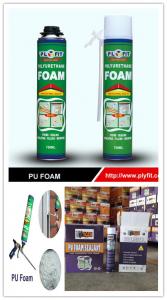 China SGS 750ml Polyurethane Foam Spray House Insulation Expanding Spray on sale