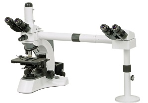 Best BestScope BS-2080MH4 Lab Medical Multi Head Microscope , Optical Microscopes wholesale