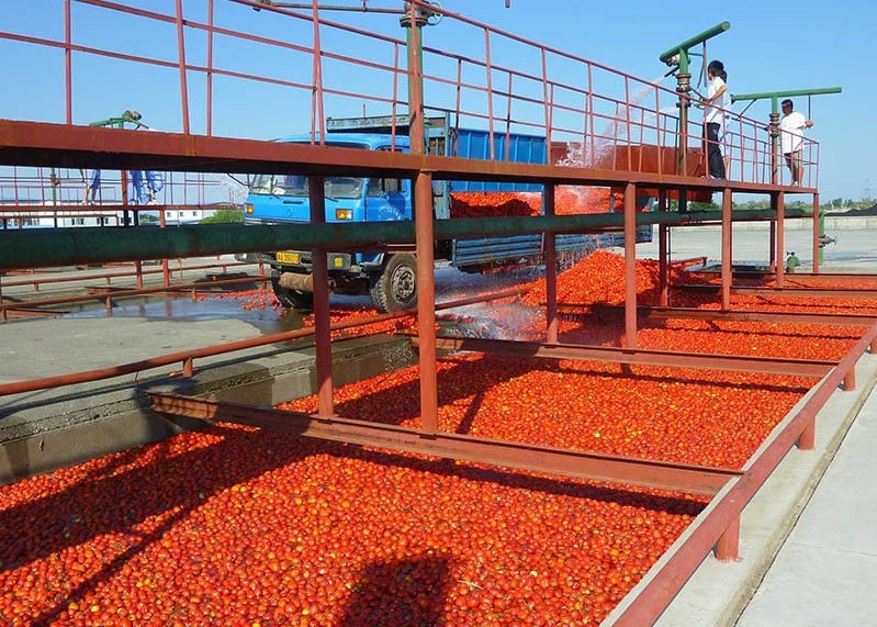 China High Efficiency Tomato Processing Line / Tomato Sauce Production Line on sale