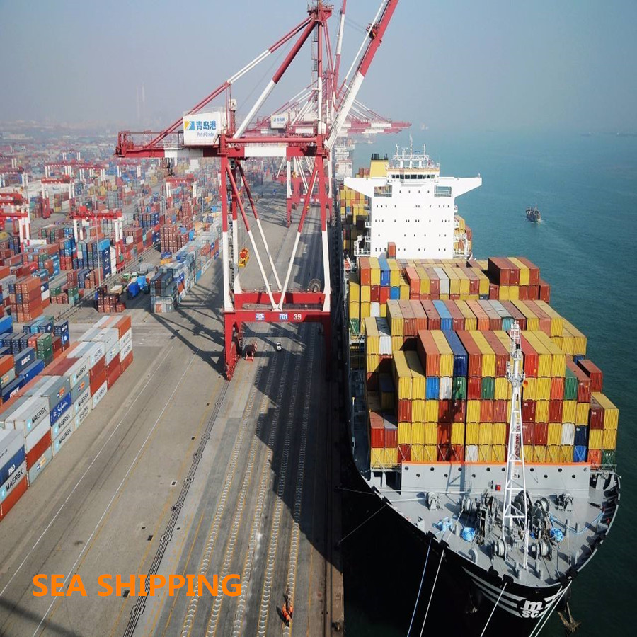 Best Xiamen To Atlanta USA Fast Vessel DDP Sea Shipping wholesale