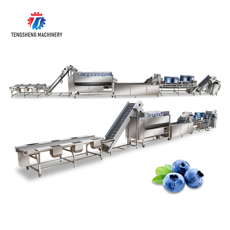 Best Stainless Steel Fruit And Vegetable Processing Line Potato Picking Hair Roller Bubble Washing Machine wholesale