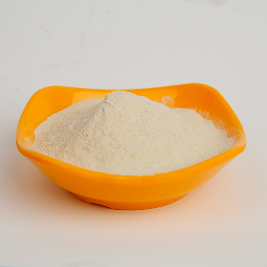 China Food Grade Water Soluble Chitosan HCL Powder CAS.NO 70694-72-3 on sale