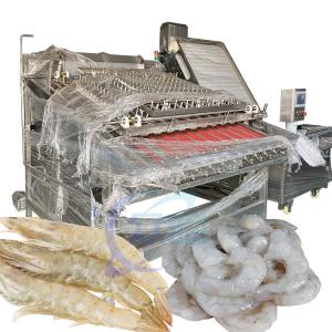 China Touch Screen Shrimp Peeling Machine Multiscene 3000W 250-300KG/H on sale