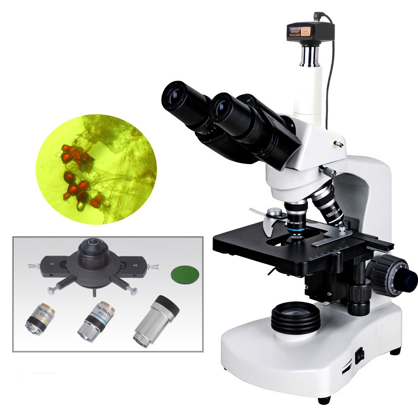 BM117PHT with 5.0MP  best quality 5.0MP digital camera sliding phase contrast microscope for cellular biology research