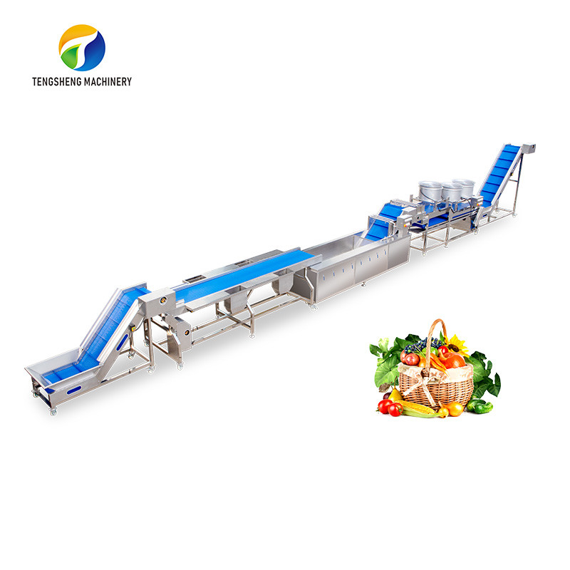 China Multifunctional Fruit Sorting Machine Vegetable Washing Drying Production Line on sale