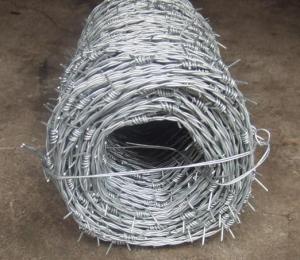 Best Galvanized Barbed Wire wholesale