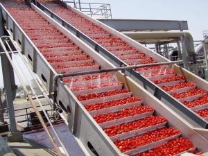 Best PLC Control Food Processing Machine Tomato Processing Line Water Cycling wholesale