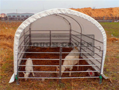 Cheap Cattle Barns,3m(10') wide Livestock Barns,Housing for sale