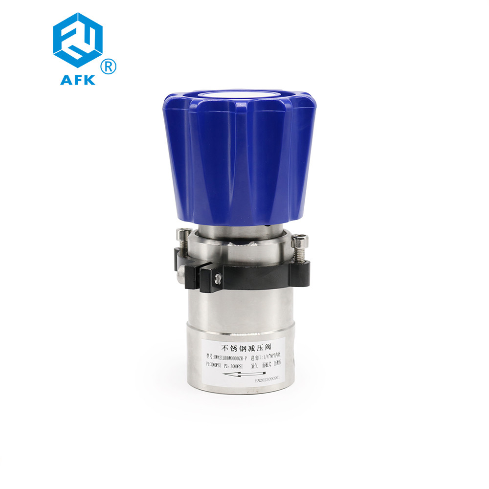 China Threaded F Connection Type Stainless Steel 316 with Back Pressure Regulating Valve on sale