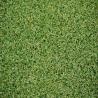 Buy cheap Artificial Grass carpet Waterproof Sports Flooring Golf Grass from wholesalers