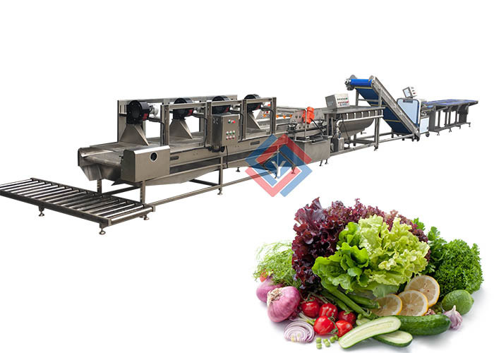 China Salad Production Line Fruit And Vegetable Processing Washing Cutting Line on sale