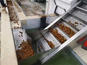 Best High Efficiency All In One Tomato Processing Equipment 2000T/D wholesale