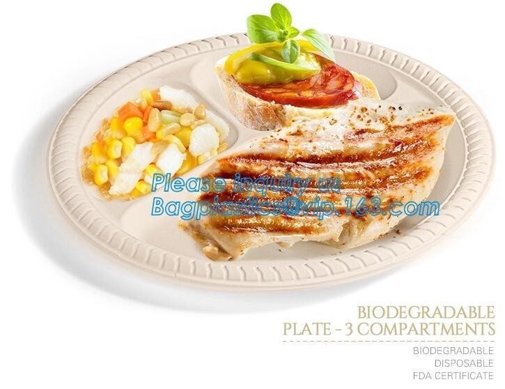 Best Eco Friendly Biodegradable Sugarcane Bagasse Plates Disposable,Sugarcane Bagasse Pulp Disposable Biodegradable Plate For wholesale