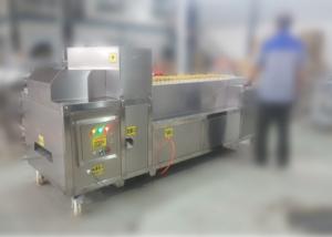 Best Stable Commercial Mango Drying Machine , Dried Mango Processing Machine wholesale