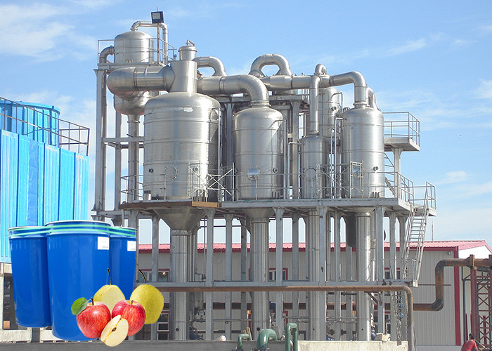 Best Safety SUS 304 Apple Processing Equipment Apple Puree Processing Plant wholesale