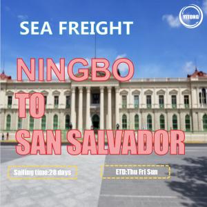 Best Professional International Sea Freight From Ningbo To San Salvador Via ACAJUTLA wholesale