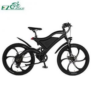 Electric Bike TDE05