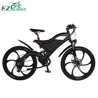 Cheap Electric Bike TDE05 for sale