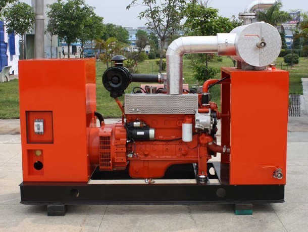 Powered 3 Phases Cummins Natural Gas Generator 50KW , Open Type