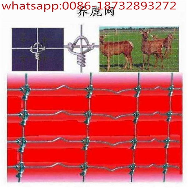knotted galvanized grassland fence/deer fence/deer fence mesh/deer fencing mesh/Deer Fencing Mesh/deer netting