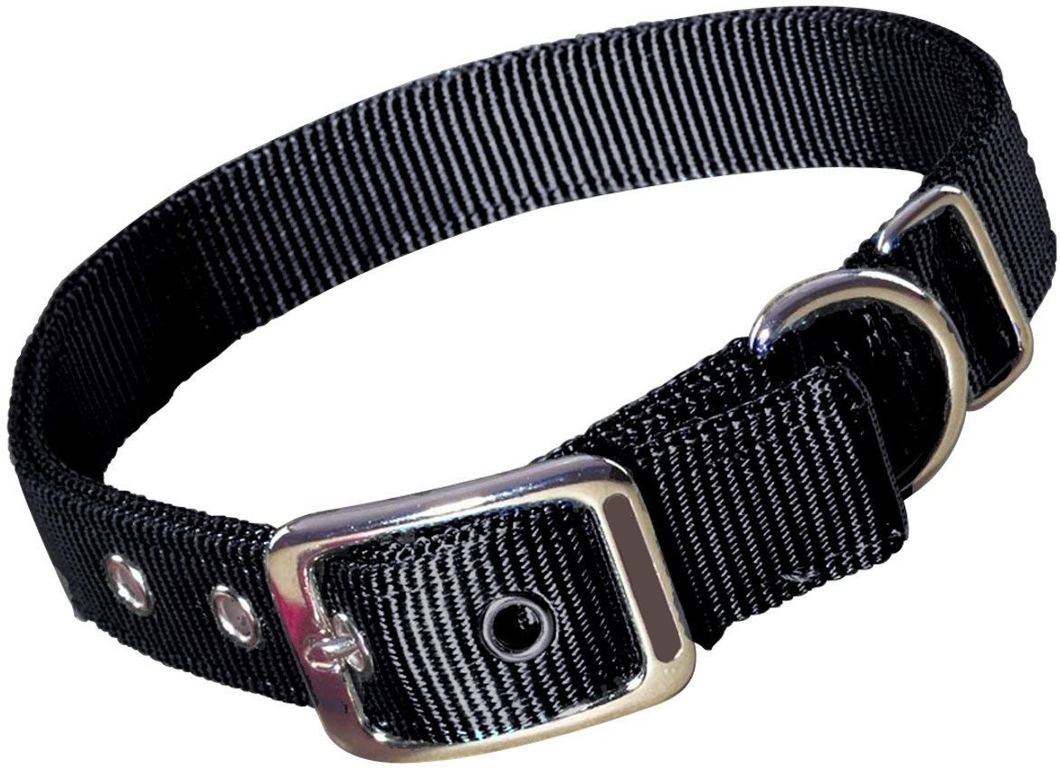 China Double Thick Nylon Dog Collars With Brushed Hardware Finish Easy Cleaning on sale