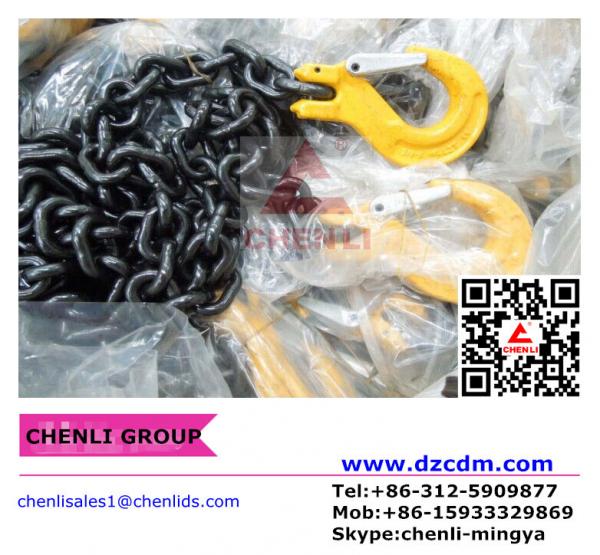 Cheap Grade 80 chain with clevis slip hook w/latch both ends for sale