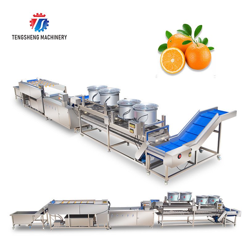 China Fruit And Vegetable Wool Roller Bubble Cleaning Machine 1500KG/H on sale