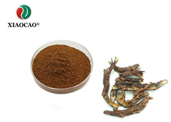 Cheap Pure Natural Eleuthero Root Extract / Acanthopanax Senticosus Extract for sale