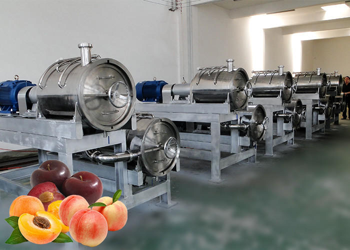 Best 3tons/Day PLC Control Peach Apricot Fruit Processing Line wholesale