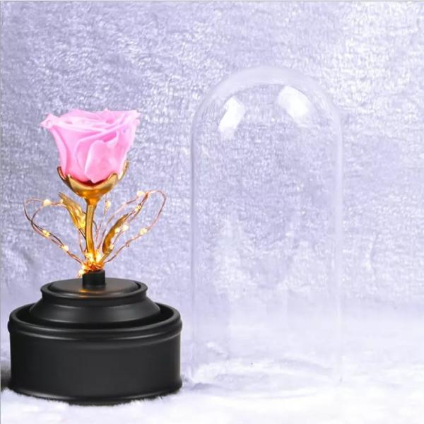 Cheap High quality long lsting preserved rose in glass with lid light for sale