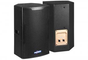 Best 10 inch professional PA speaker BP-10 wholesale
