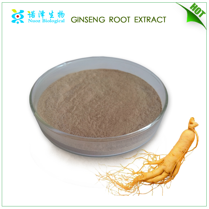 Cheap china supplierexport of agriculture productsgiseng for sale