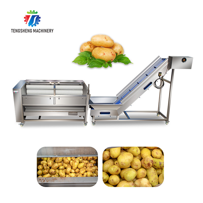 China Stainless Steel Fruit And Vegetable Processing Line Brush Cleaning And Hoisting on sale