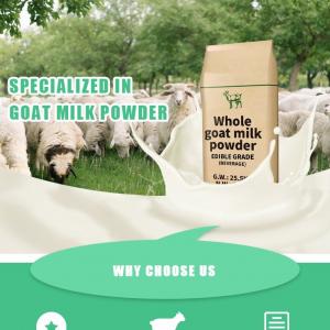 China HALAL Standard Goat Milk Protein Powder Rich A2 Beta Casein Protein on sale