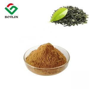 China Food Grade Organic Green Tea Extract Powder 40% Tea Polyphenol on sale