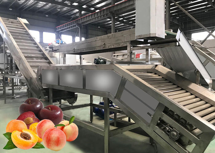 Best Multiple Use Safety Peach Processing Plant High Extracting Rate 1000 T/Day wholesale
