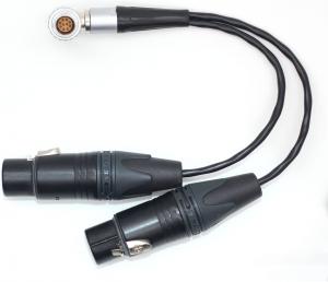 China Straight Input Camera Audio Cable 10 Pin To XLR 3 Pin Female ODM on sale