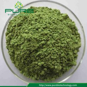 China High water soluble Wheat Grass Juice Powder on sale