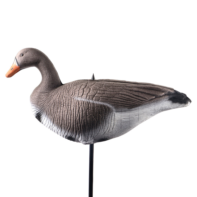 Buy cheap XPE Brown Real Life Canada Goose Decoys For Outdoor Hunting Accessories from wholesalers