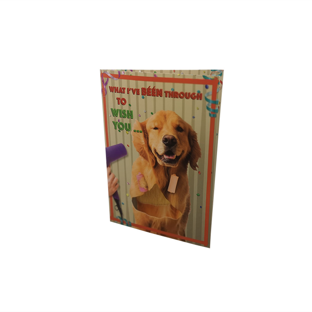 China Birthday Recordable Greeting Cards With Visual LED Lights 4C Printing Autoplay for sale