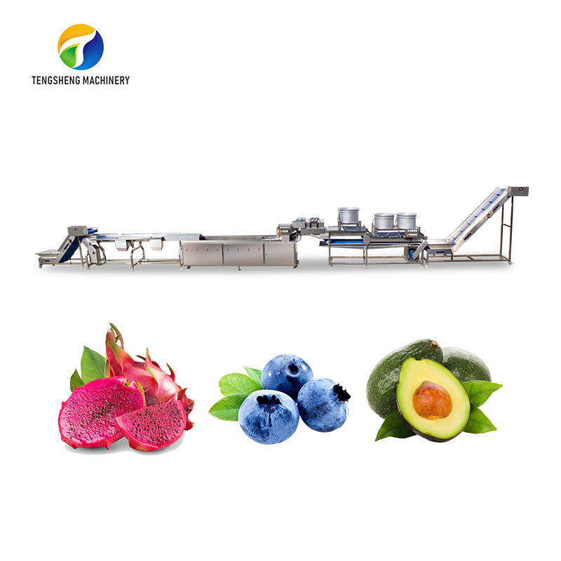 China 1500KG/H Orange Selection Fruit And Vegetable Processing Line on sale