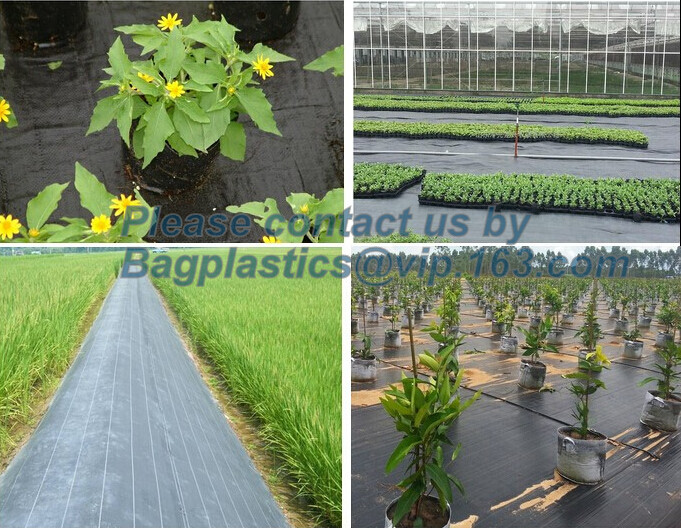 Best Water management weeb control pavement preservation courtyard beautify anti insect anti mold seedbed protection vegetati wholesale