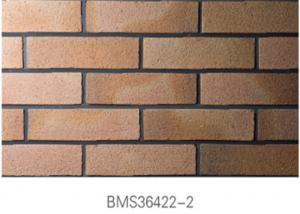 China Low Water Absorption Exterior Thin Brick Durable For Real Estate on sale