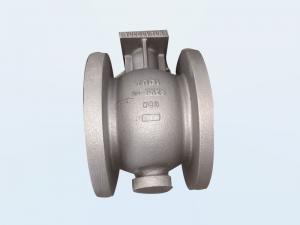 Stainless Steel Fitting Valve Castings , Sand Metal Casting Customized Dimension