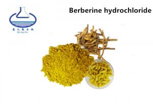 China Berberine Hydrochloride Natural Food Coloring Powder 97% Coptis Root Extract on sale