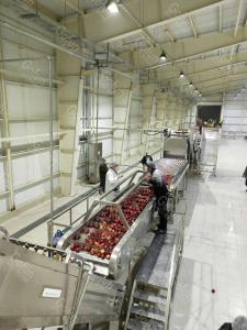 China Ss304 Apple Processing Line Automatic Fruit Juice Making Machine 380V on sale